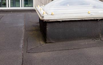 disadvantages of Capel Bangor flat roofs