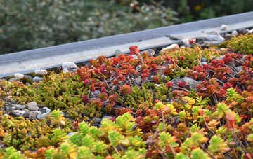 the cost of Capel Bangor green roof installation