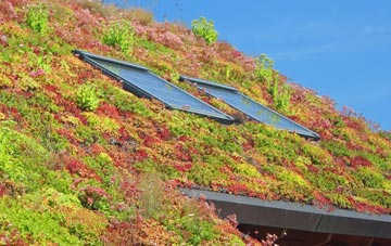 Capel Bangor living roof systems