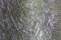 Capel Bangor fibreglass roof work